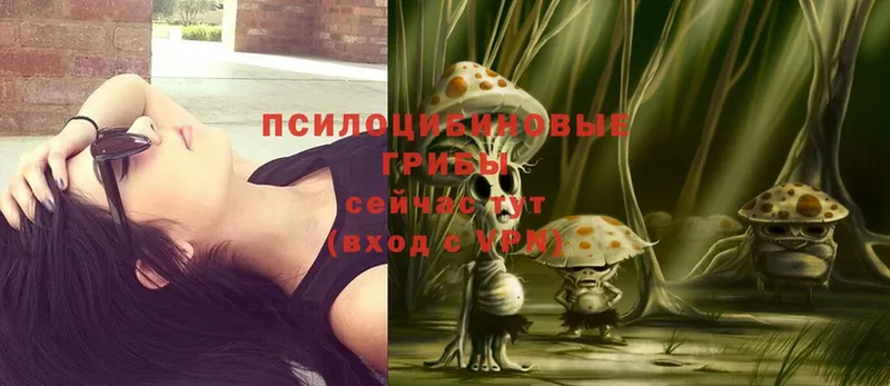 где можно купить наркотик  Сатка  Псилоцибиновые грибы Magic Shrooms 